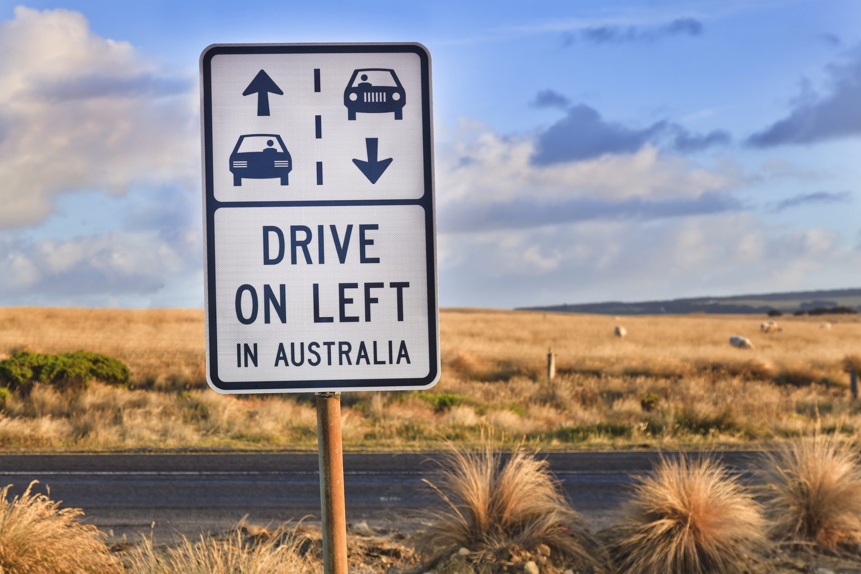 Commentary: OLA Finds Its Way on Aussie Roads