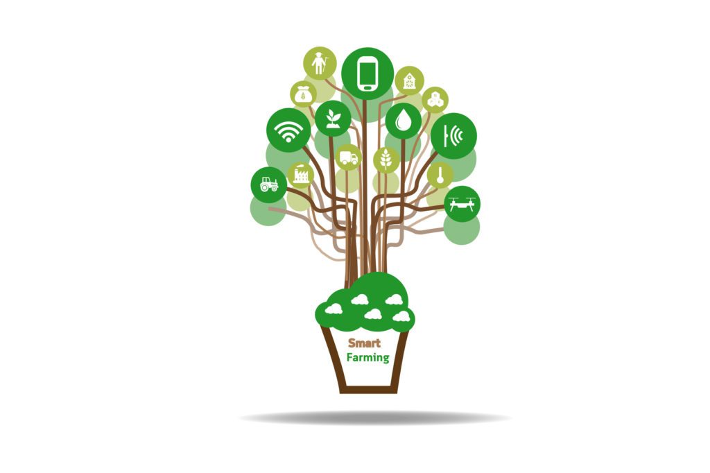 Is Technology the Solution to the Next Food Crisis?