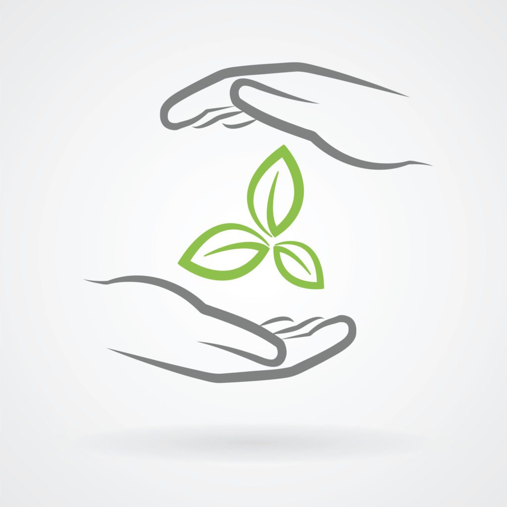 The EU Green Deal – Good on Paper but Is That Enough?